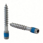 Stokeinden (tafelpootbout) MOD 0100